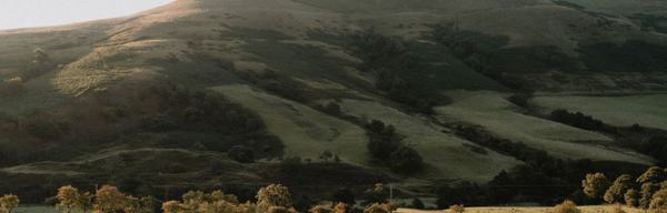 Walks from train stations blog image