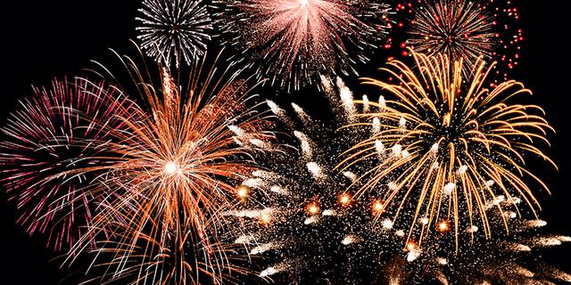 Wildhive s stock 223255012 fireworks crop