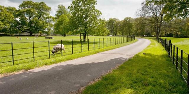 Dove Cottage at Churchdale Farm 3